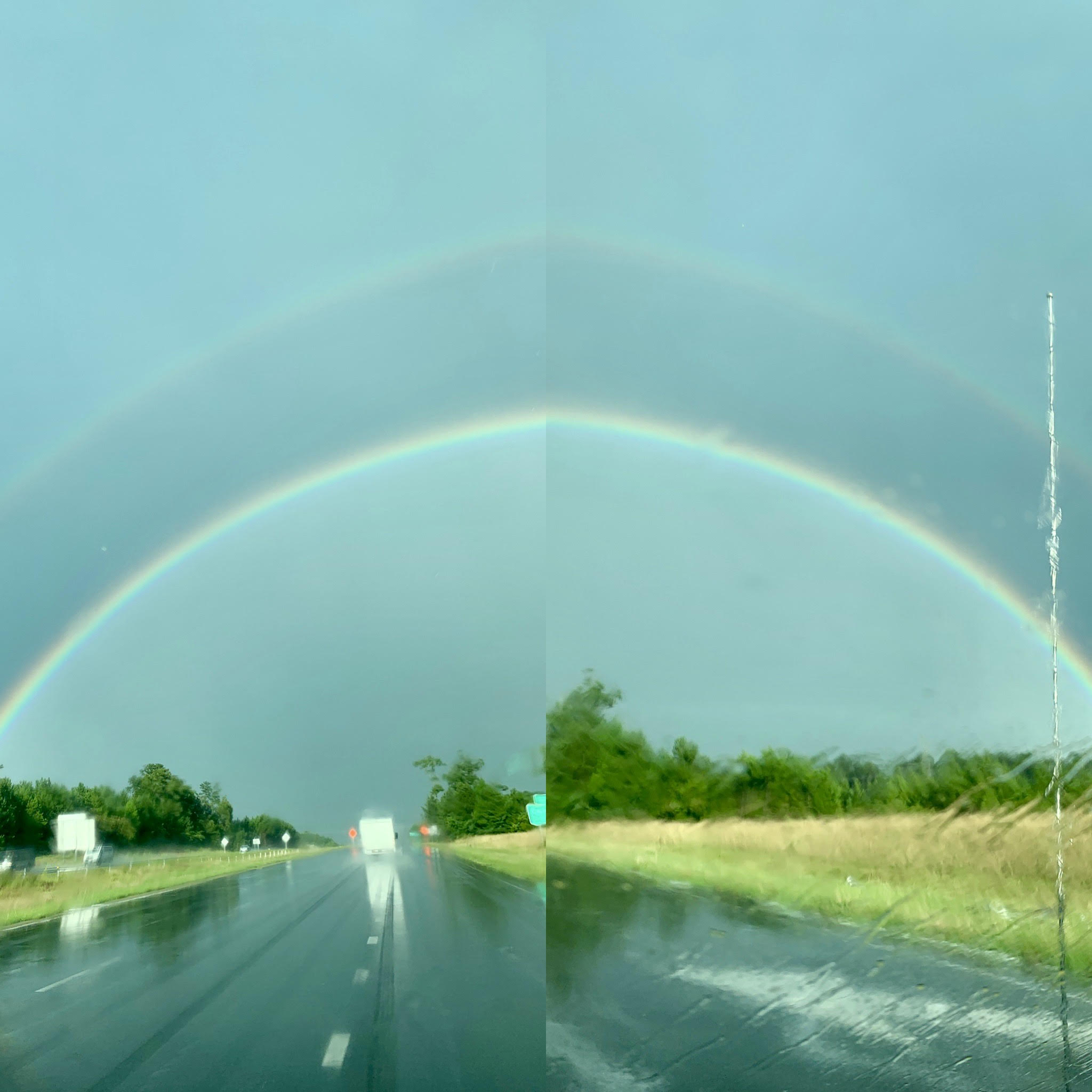 Harvest Rainbow